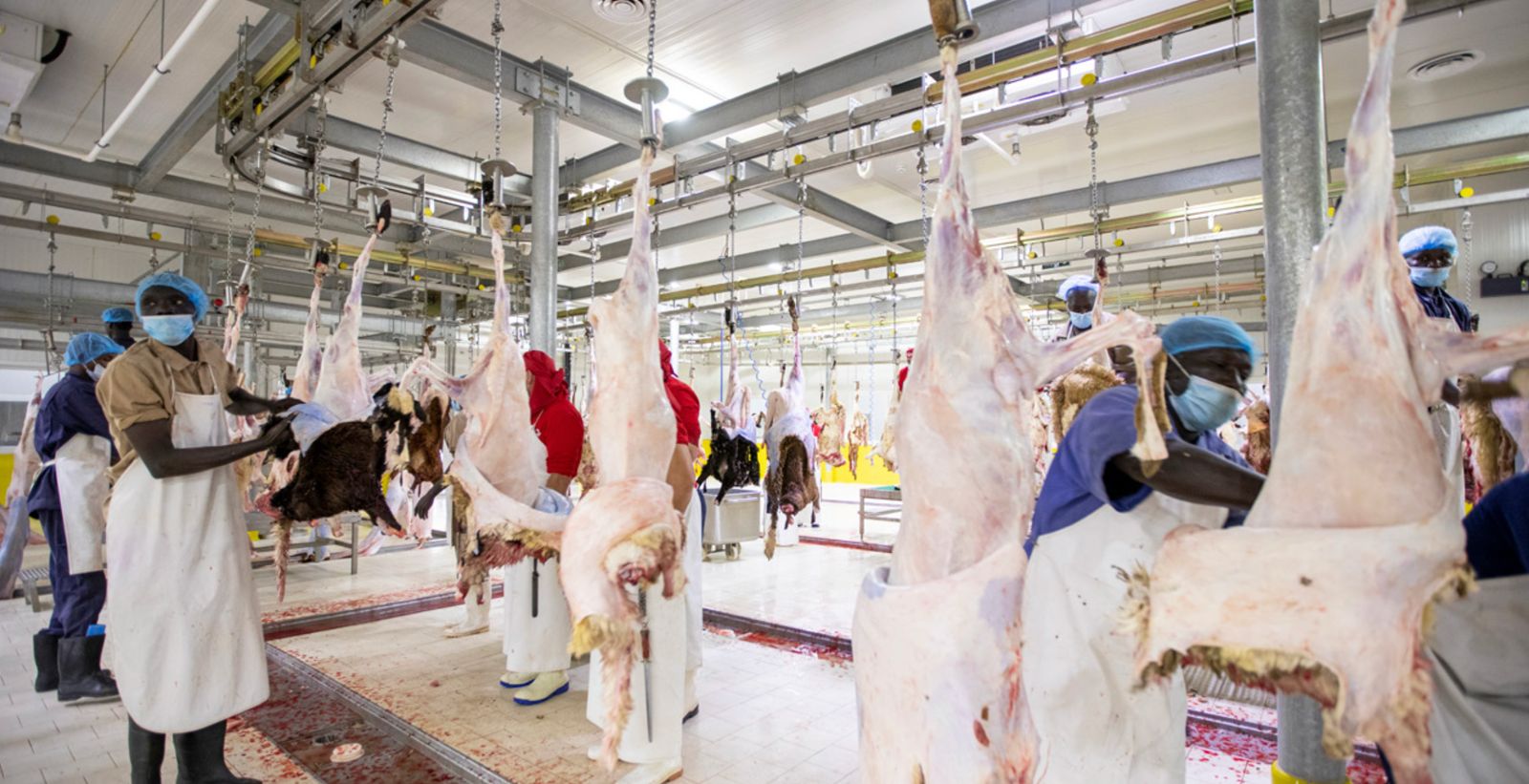 CANTEK Butchery Training - Image 2