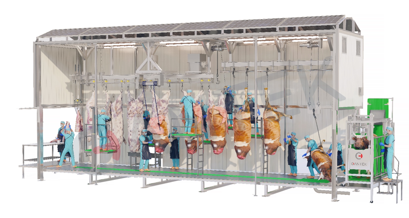 Cattle Slaughter Unit