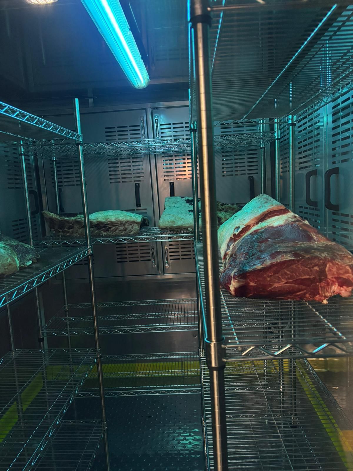 CANTEK Dry Age Unit - Product Detail 3