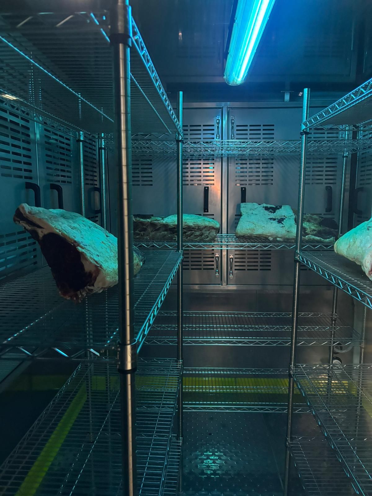 CANTEK Dry Age Unit - Product Detail 4