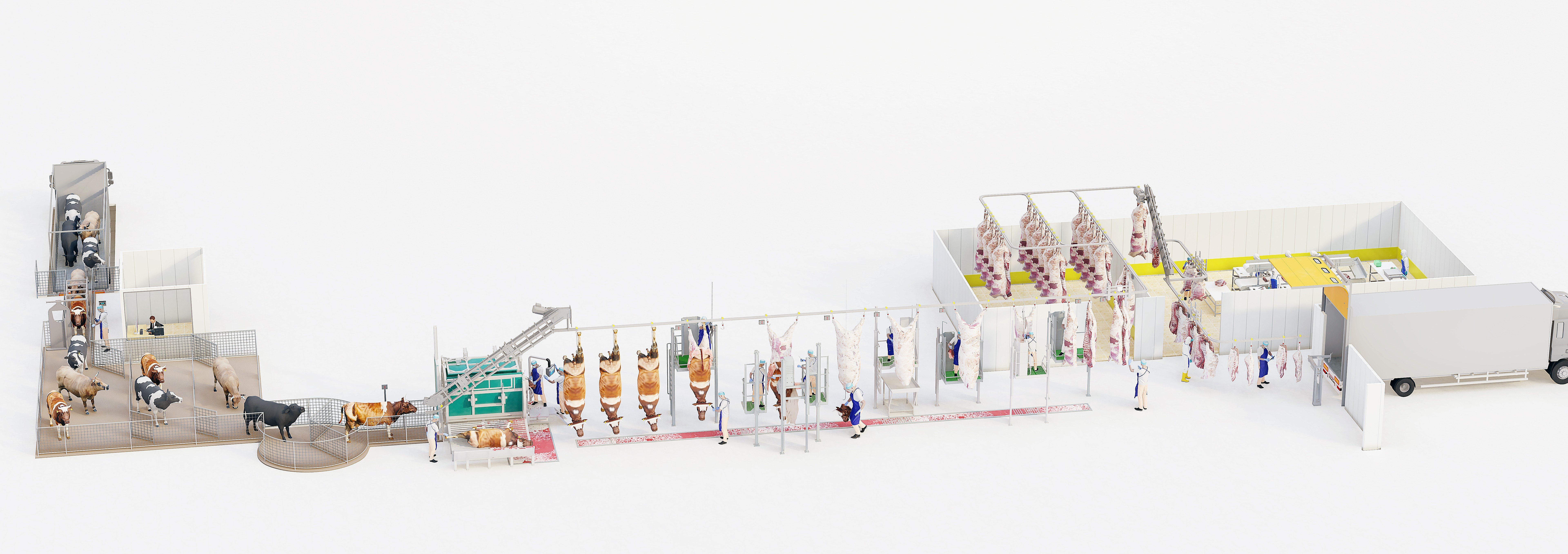 Lairage Area - Equipment