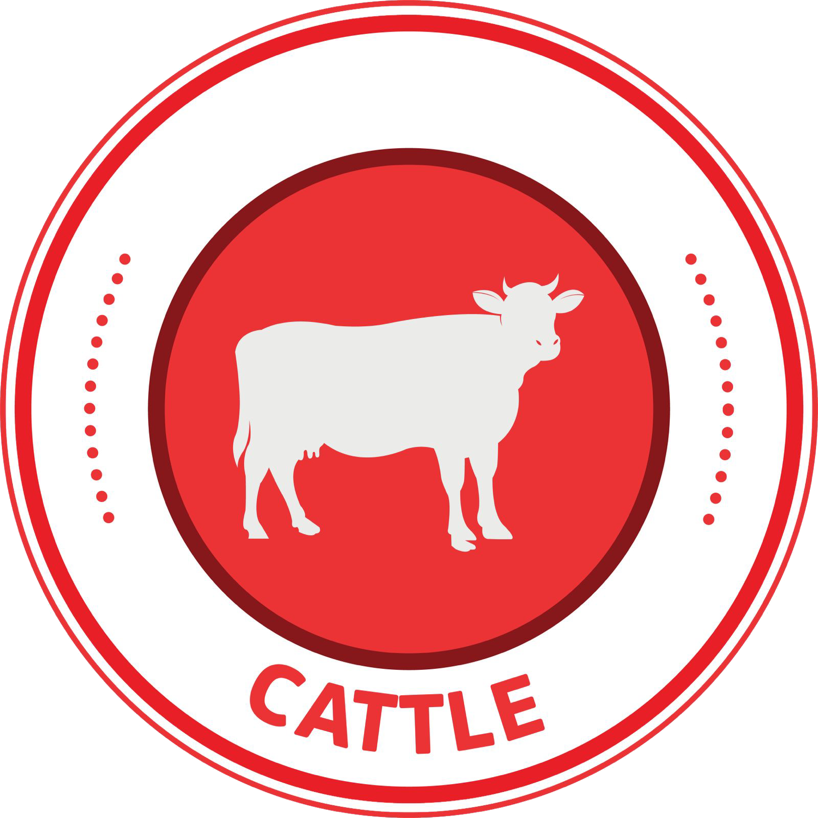 Cattle