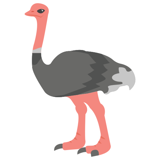 Ostrich