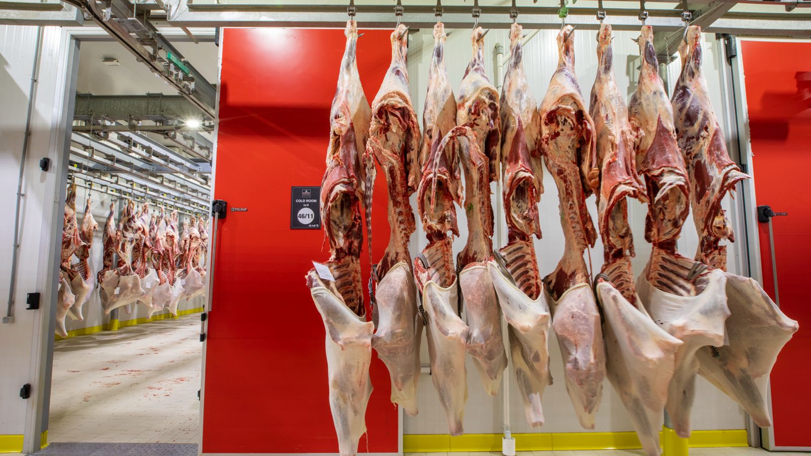 Meat Focused Cooling 1