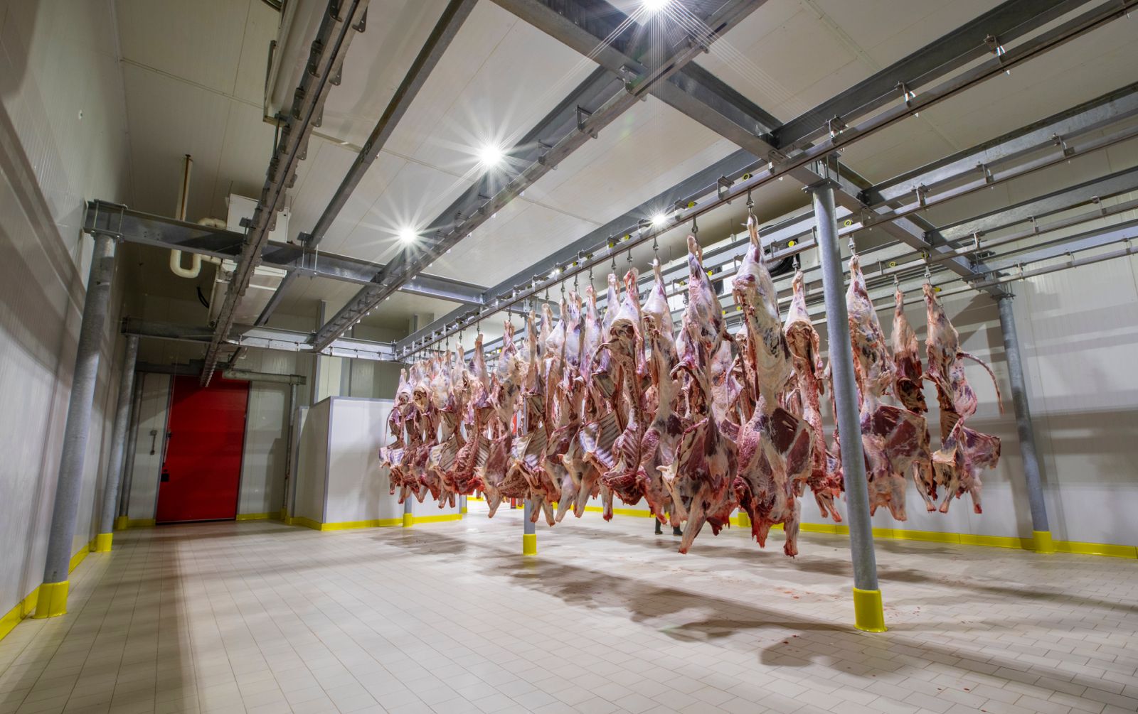 Meat Focused Cooling 2