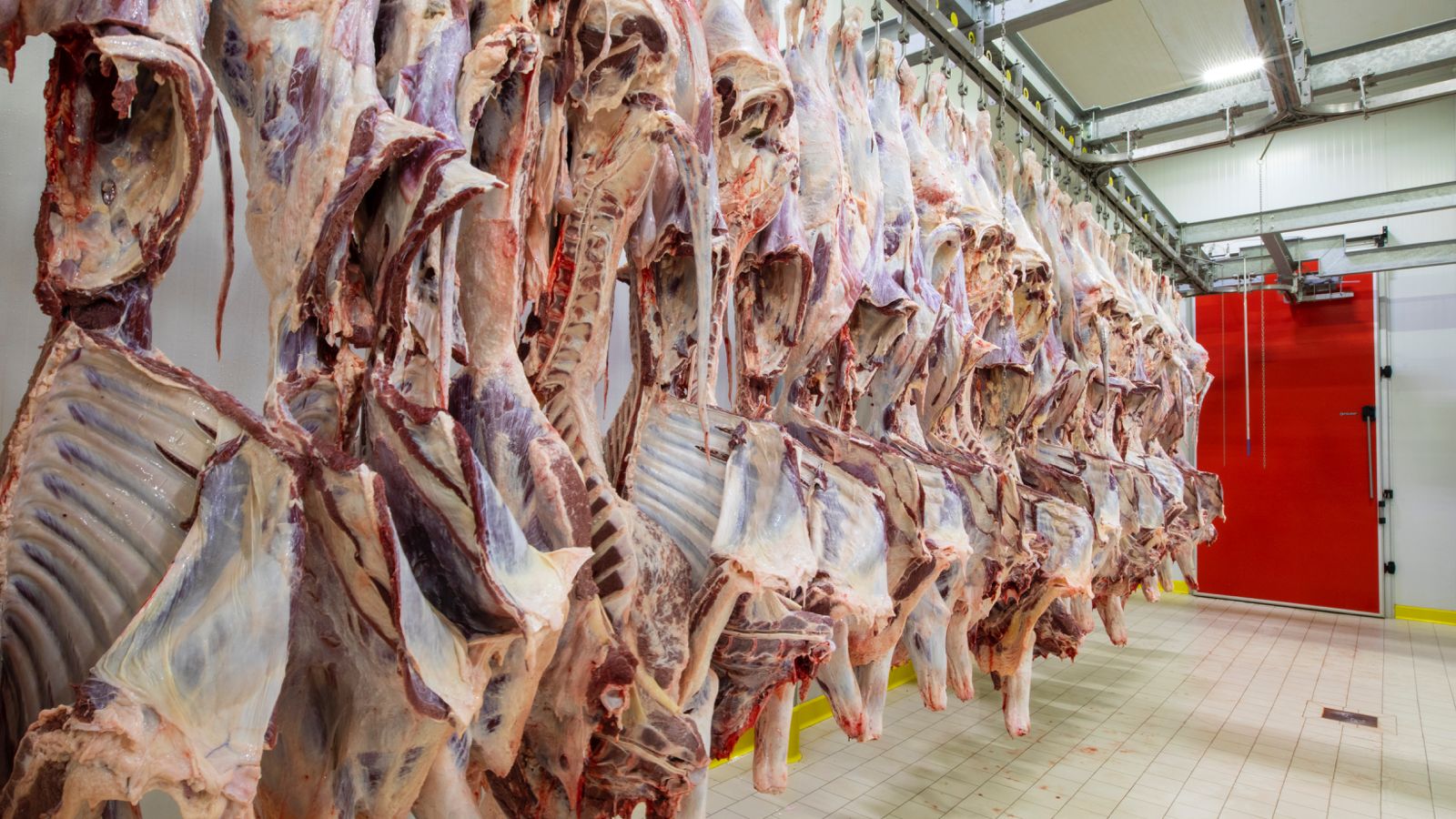 Meat Focused Cooling 3