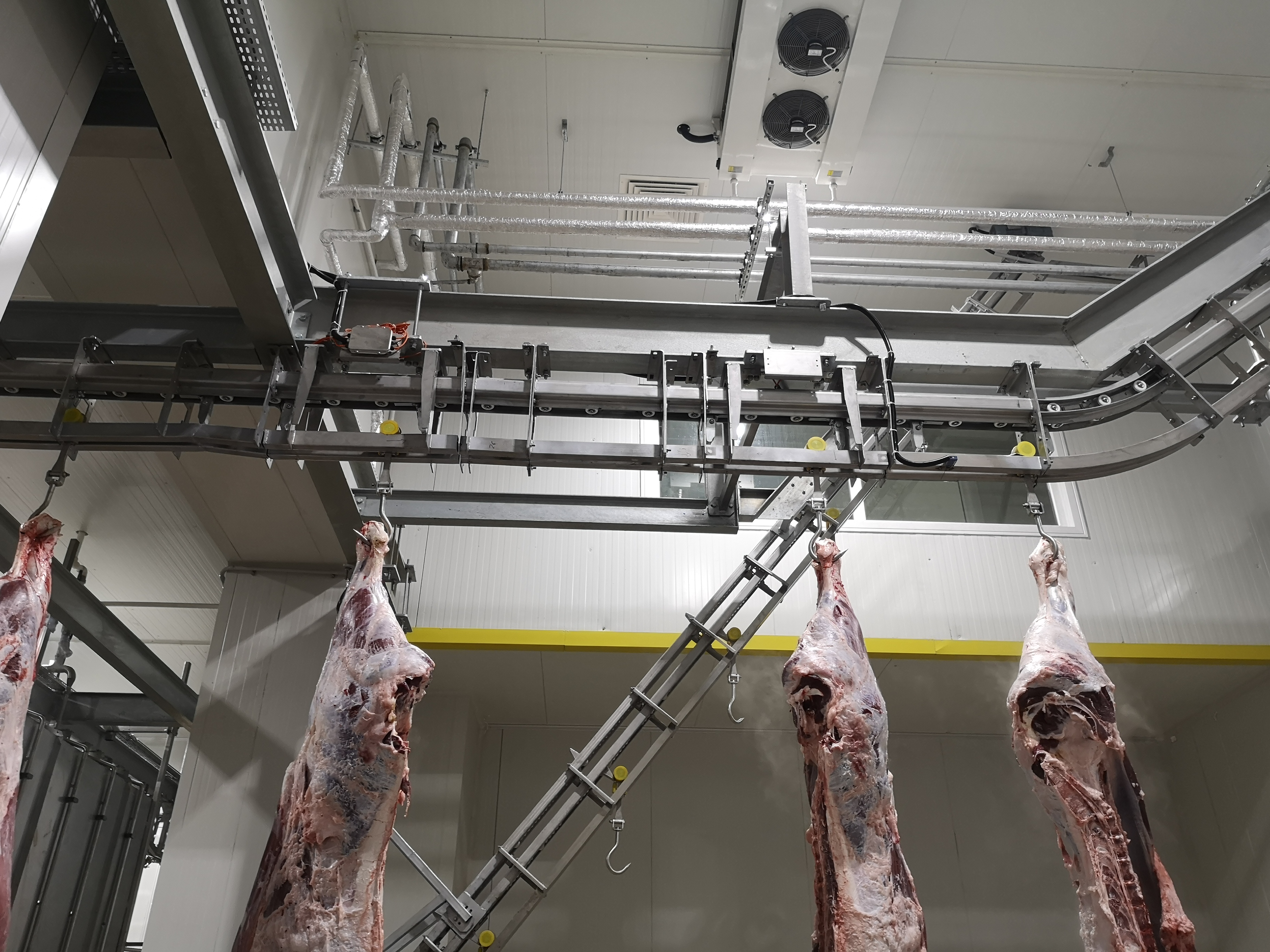Automatic Weighing & Carcass Washing